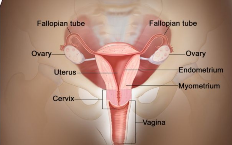 Uterine and cervical cancer radiation treatment by qualified oncologist in Pune